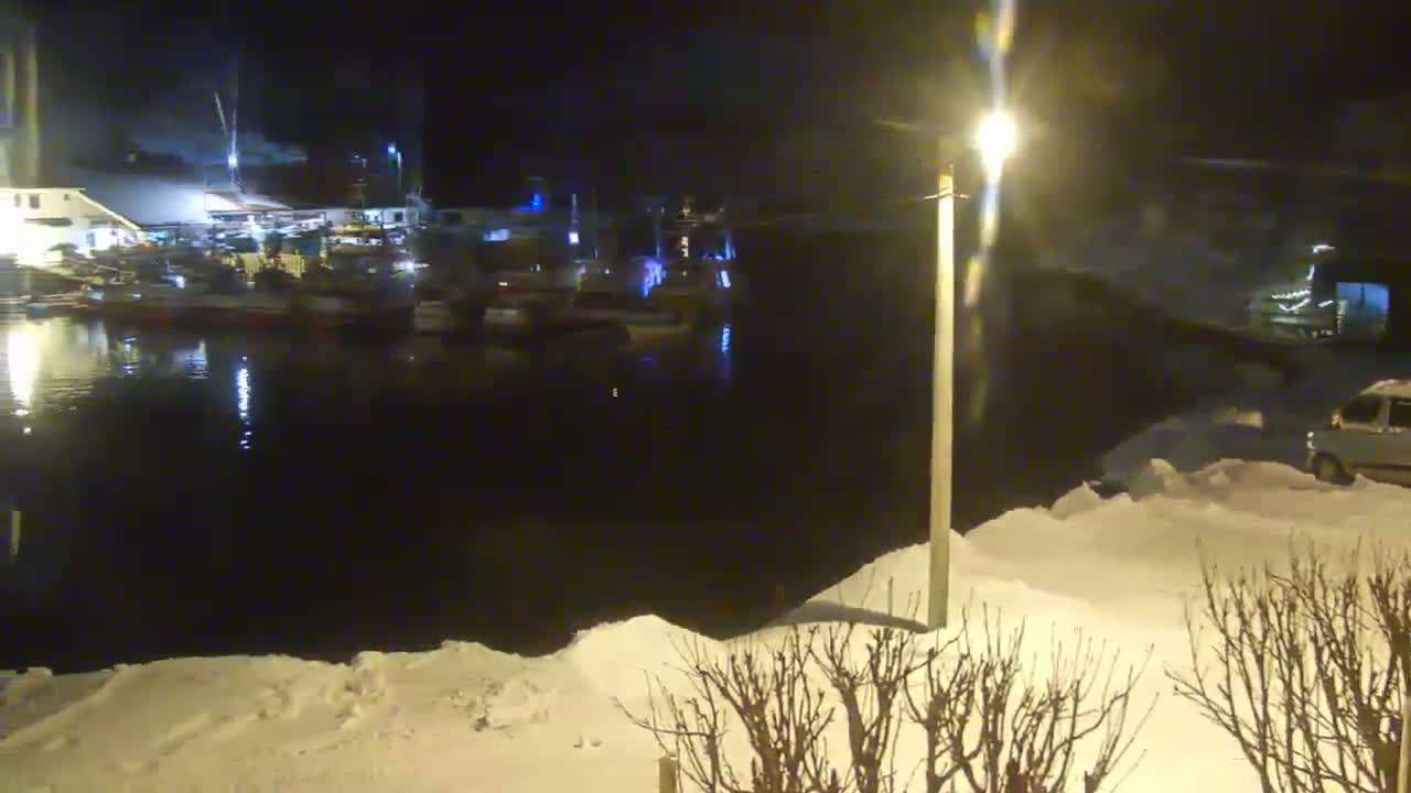Kamøyvær (Kamoyvaer) Village & Nordkapp Havfiske (North Cape Sea Fishing Marina) Live Cam - Nordkapp, Vest-Finnmark, Finnmark, North Norway, Norway