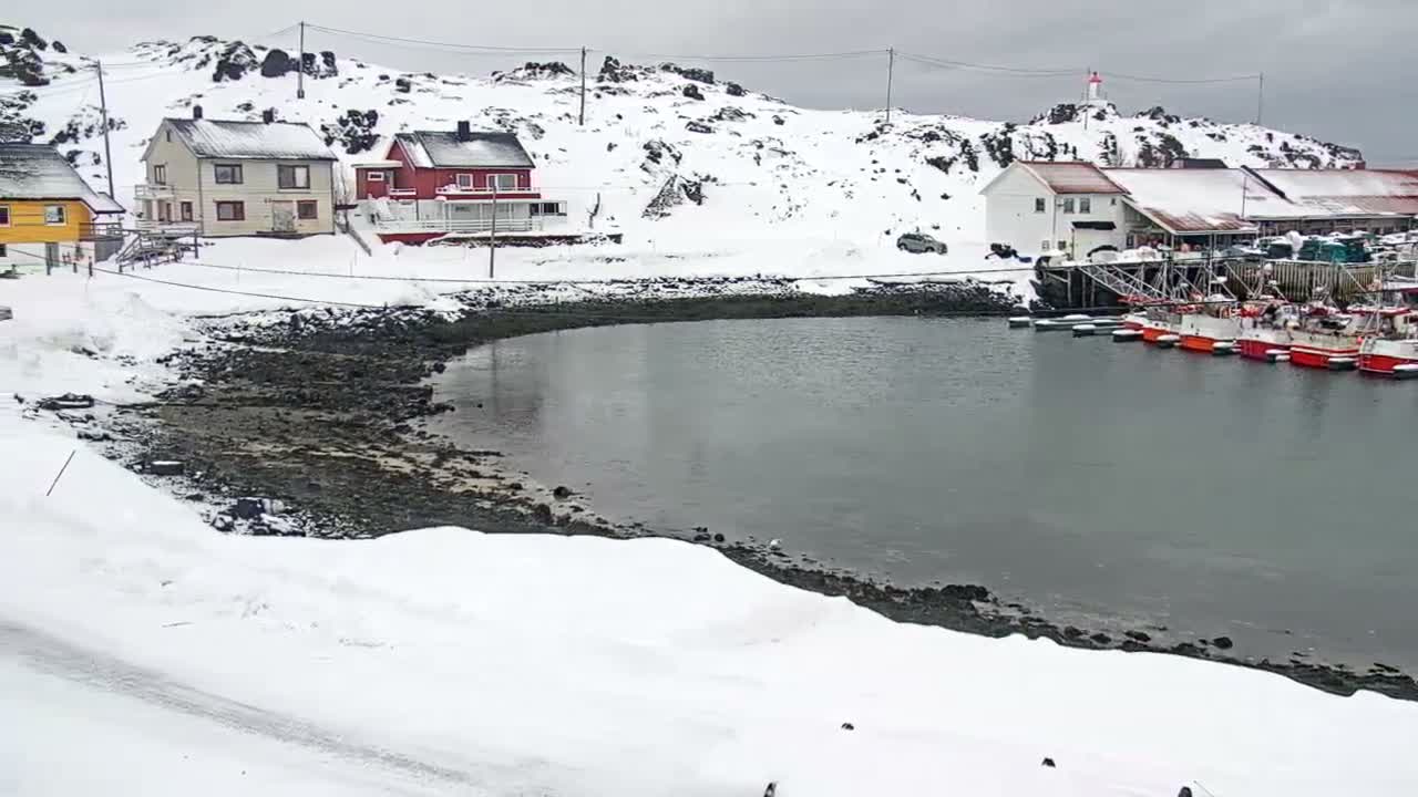 Kamøyvær (Kamoyvaer) Village & Nordkapp Havfiske (North Cape Sea Fishing Marina) Live Cam - Nordkapp, Vest-Finnmark, Finnmark, North Norway, Norway