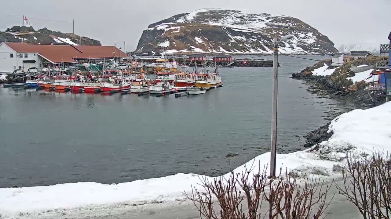 Kamøyvær (Kamoyvaer) Village & Nordkapp Havfiske (North Cape Sea Fishing Marina) Live Cam - Nordkapp, Vest-Finnmark, Finnmark, North Norway, Norway