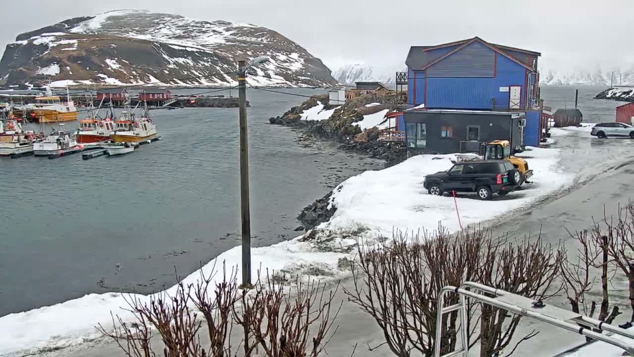 Kamøyvær (Kamoyvaer) Village & Nordkapp Havfiske (North Cape Sea Fishing Marina) Live Cam - Nordkapp, Vest-Finnmark, Finnmark, North Norway, Norway
