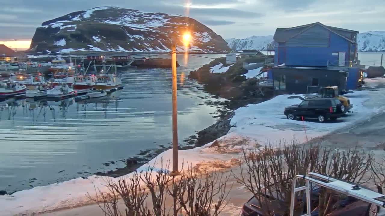 Kamøyvær (Kamoyvaer) Village & Nordkapp Havfiske (North Cape Sea Fishing Marina) Live Cam - Nordkapp, Vest-Finnmark, Finnmark, North Norway, Norway