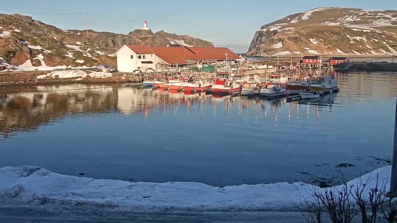 Kamøyvær (Kamoyvaer) Village & Nordkapp Havfiske (North Cape Sea Fishing Marina) Live Cam - Nordkapp, Vest-Finnmark, Finnmark, North Norway, Norway