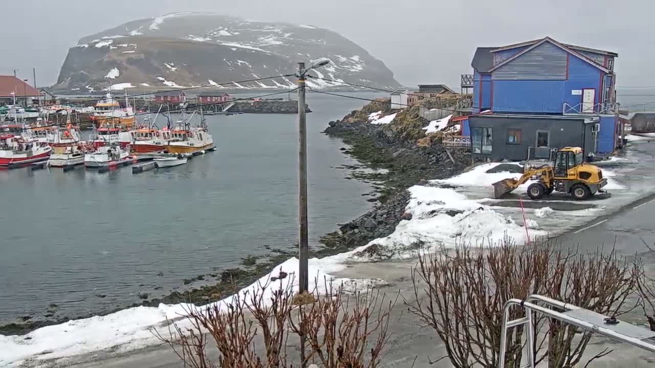 Kamøyvær (Kamoyvaer) Village & Nordkapp Havfiske (North Cape Sea Fishing Marina) Live Cam - Nordkapp, Vest-Finnmark, Finnmark, North Norway, Norway
