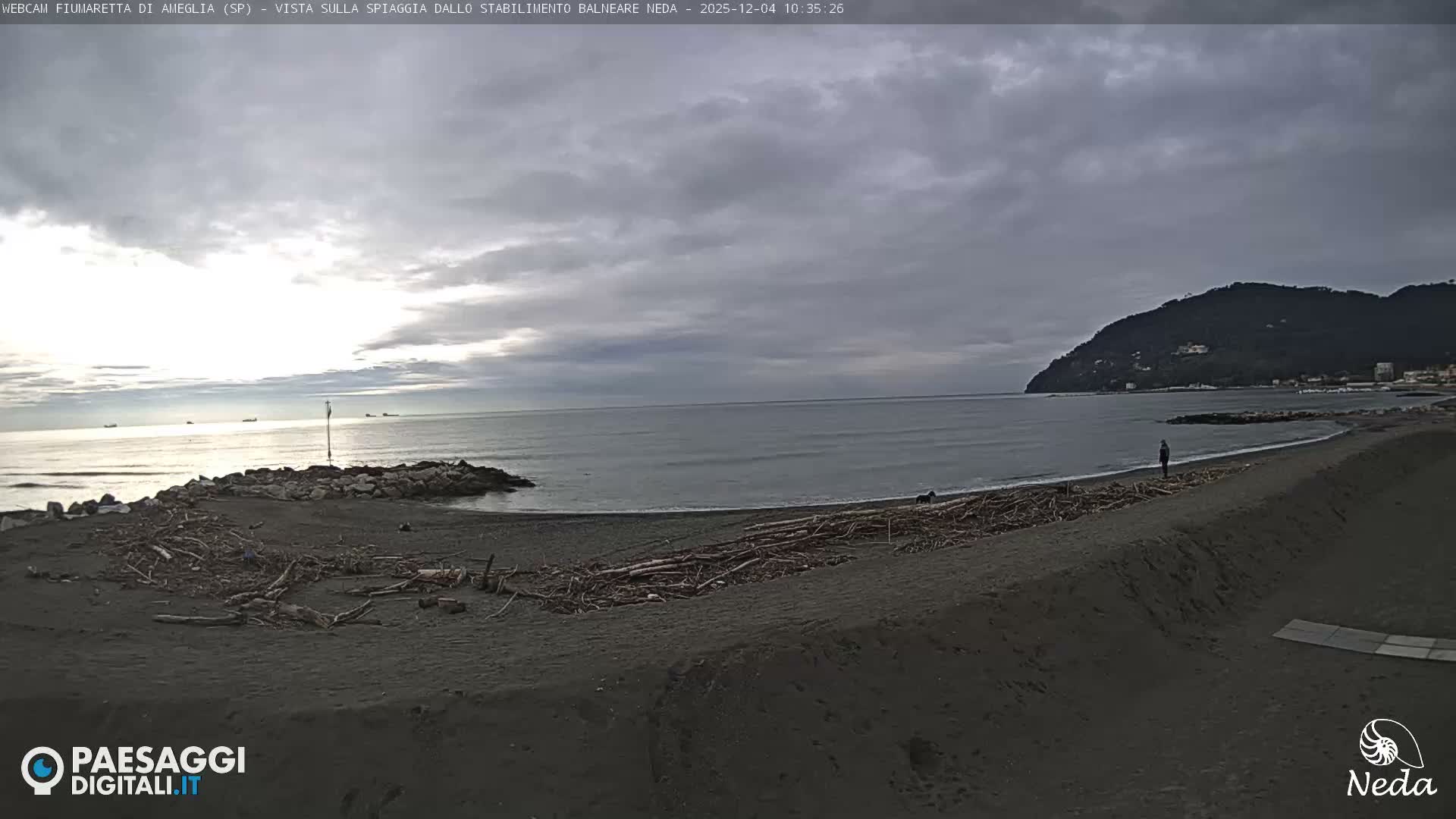 A lone figure stands on a dark, driftwood-covered beach next to a calm sea under an overcast sky, with a mountainous coastline visible in the distance.