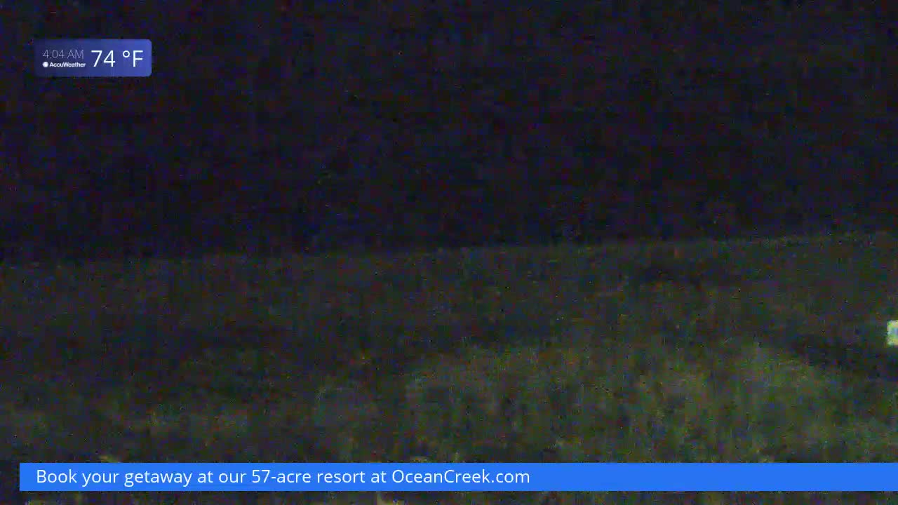A nighttime, dark view of low vegetation at 74°F.