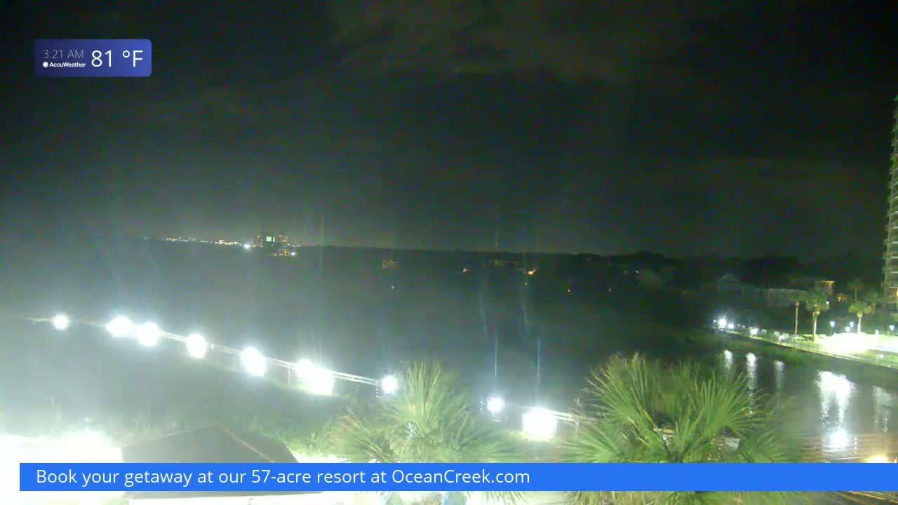 A nighttime view of a waterfront area with palm trees, lights illuminating a walkway and waterway, and a distant cityscape under a dark, mostly clear sky at 81°F.