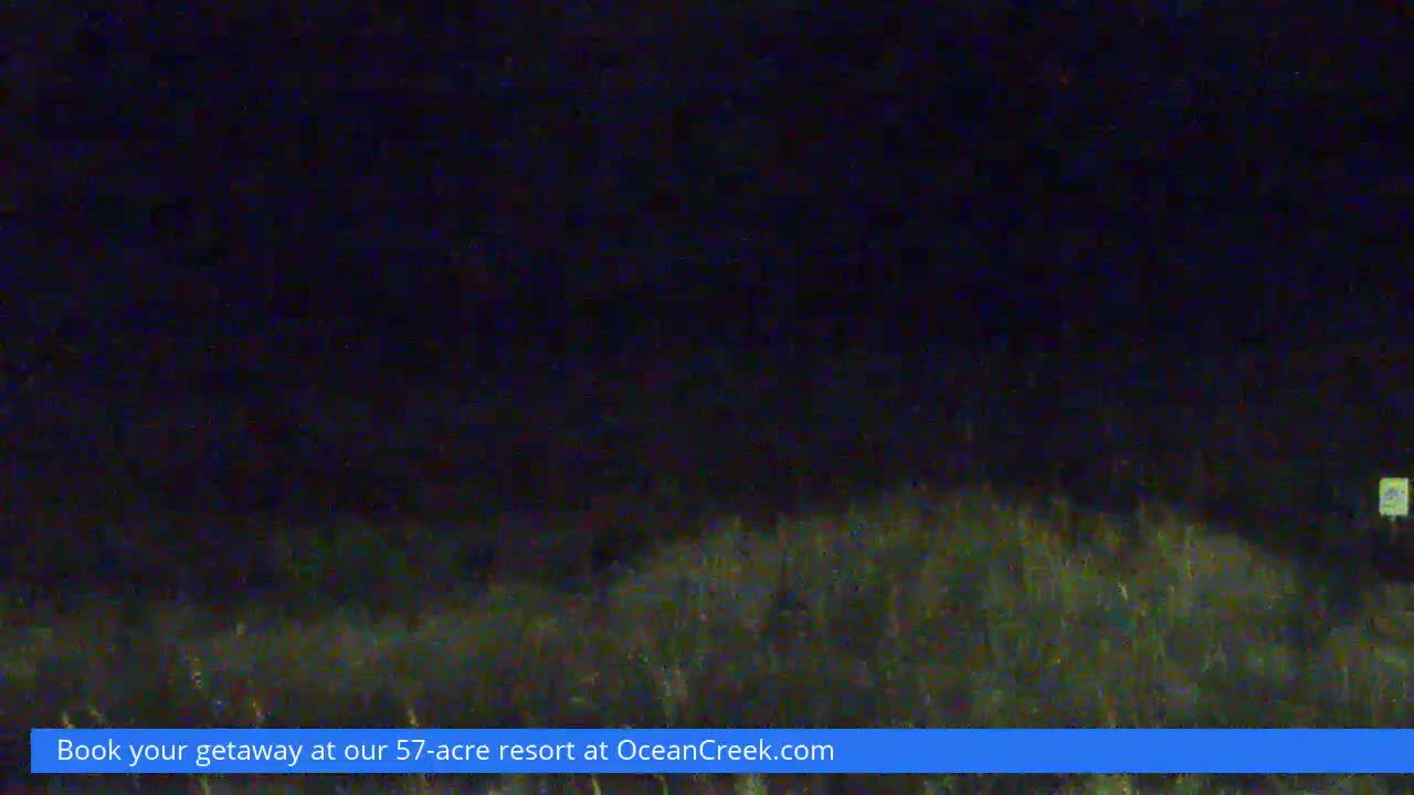 A dark outdoor scene at night depicts dimly lit ground vegetation under a clear dark sky, with a small square marker barely visible on the right.