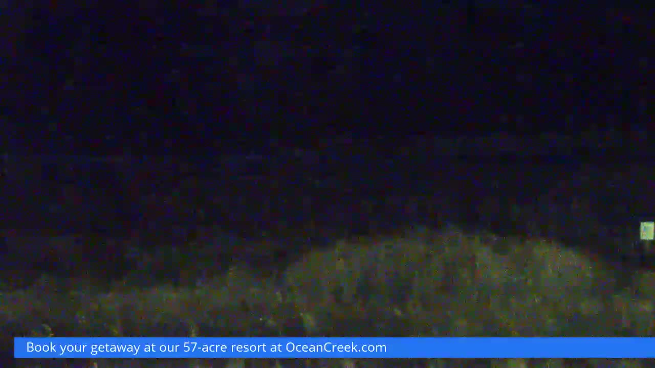 The image depicts a dark outdoor scene at night, featuring a blurry expanse of green vegetation in the foreground and a faint glowing rectangle on the far right, under what appears to be a clear sky.