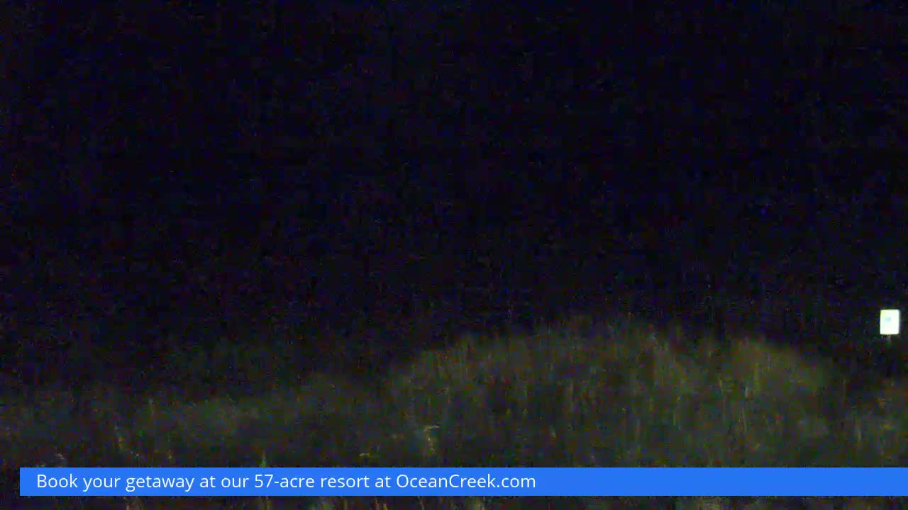 A very dark outdoor night scene on a clear night shows indistinct, shadowy ground cover stretching across the lower portion of the frame, faintly illuminated, with a distinct bright square light visible in the far upper right.