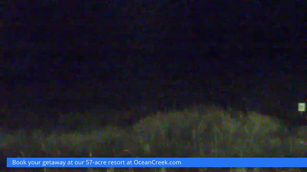 North Myrtle Beach Plage & Creek Live Cam - North Myrtle Beach, Horry, South Carolina, USA