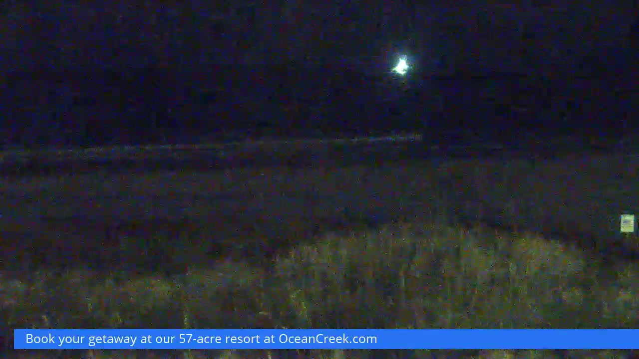 North Myrtle Beach Plage & Creek Live Cam - North Myrtle Beach, Horry, South Carolina, USA