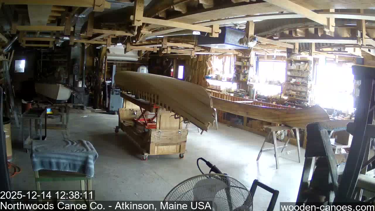 A dark blue and natural wood canoe, featuring visible ribs and a wicker seat, is propped on wooden stands on a sunny grassy patch in front of a dense forest.