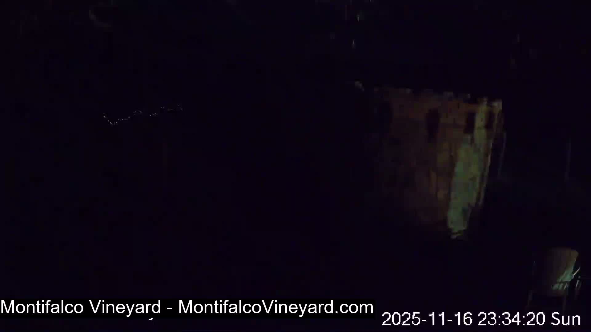 Virginia, Montifalco Vineyard Live Cam - Advance Mills, Albemarle, Virginia, USA