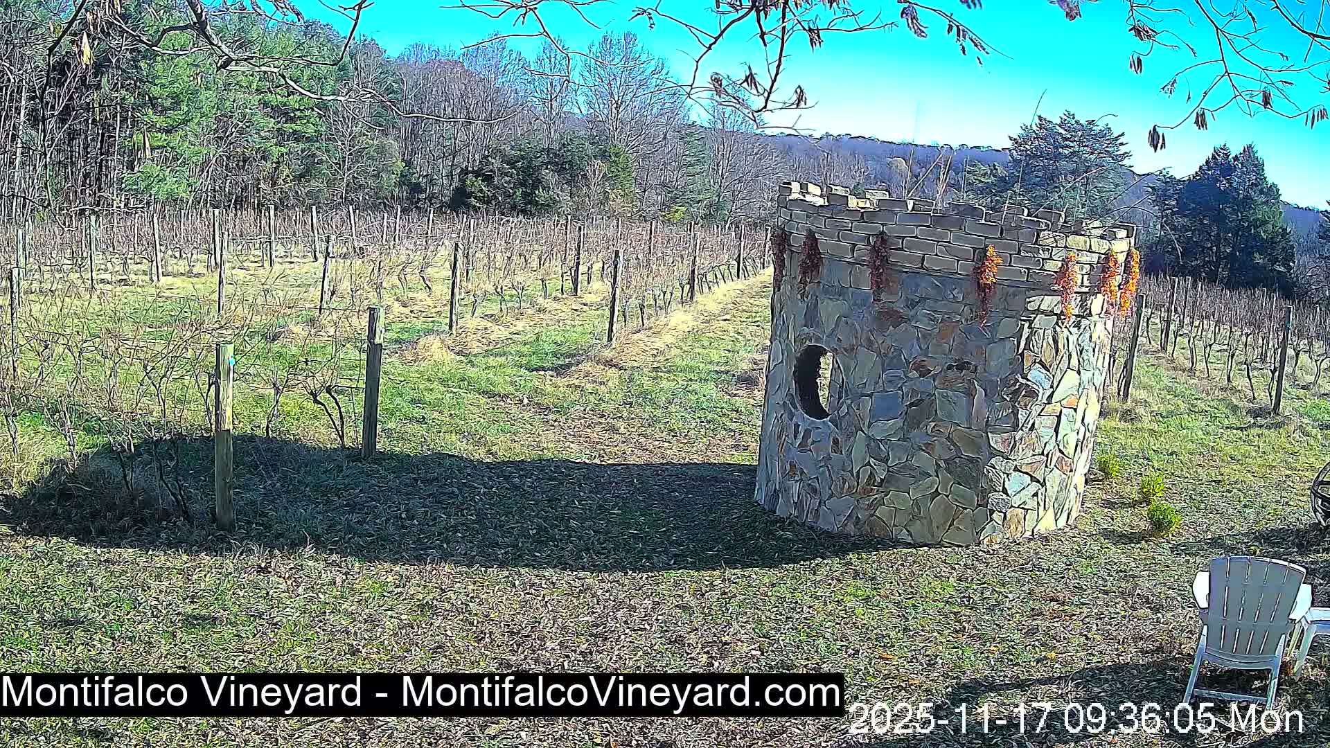 Virginia, Montifalco Vineyard Live Cam - Advance Mills, Albemarle, Virginia, USA
