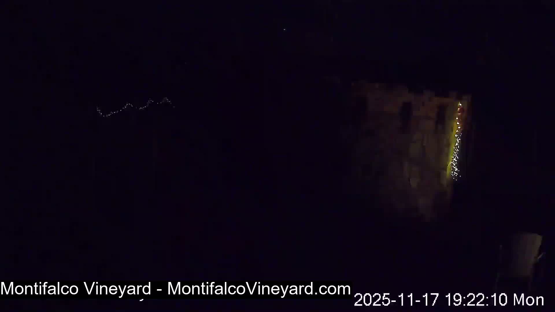 Virginia, Montifalco Vineyard Live Cam - Advance Mills, Albemarle, Virginia, USA