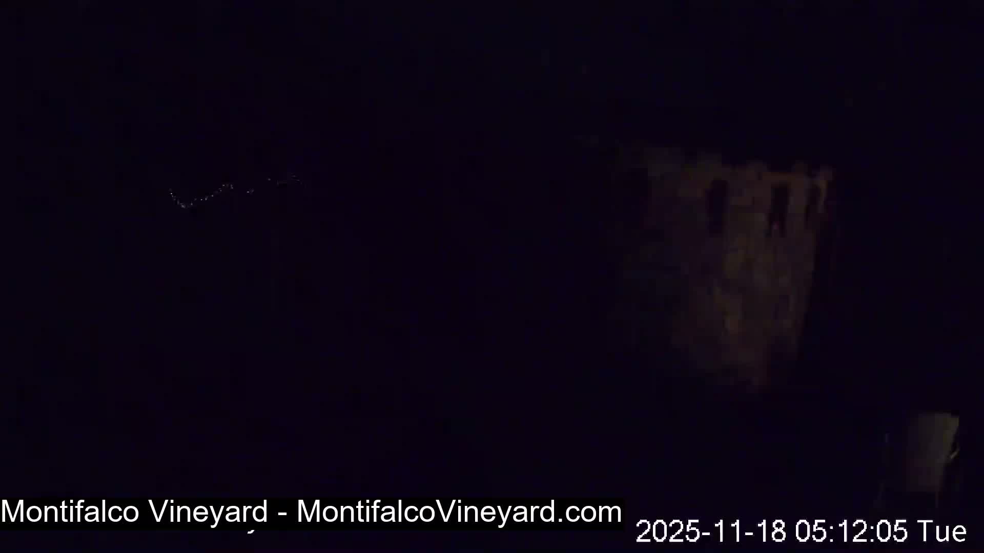 Virginia, Montifalco Vineyard Live Cam - Advance Mills, Albemarle, Virginia, USA