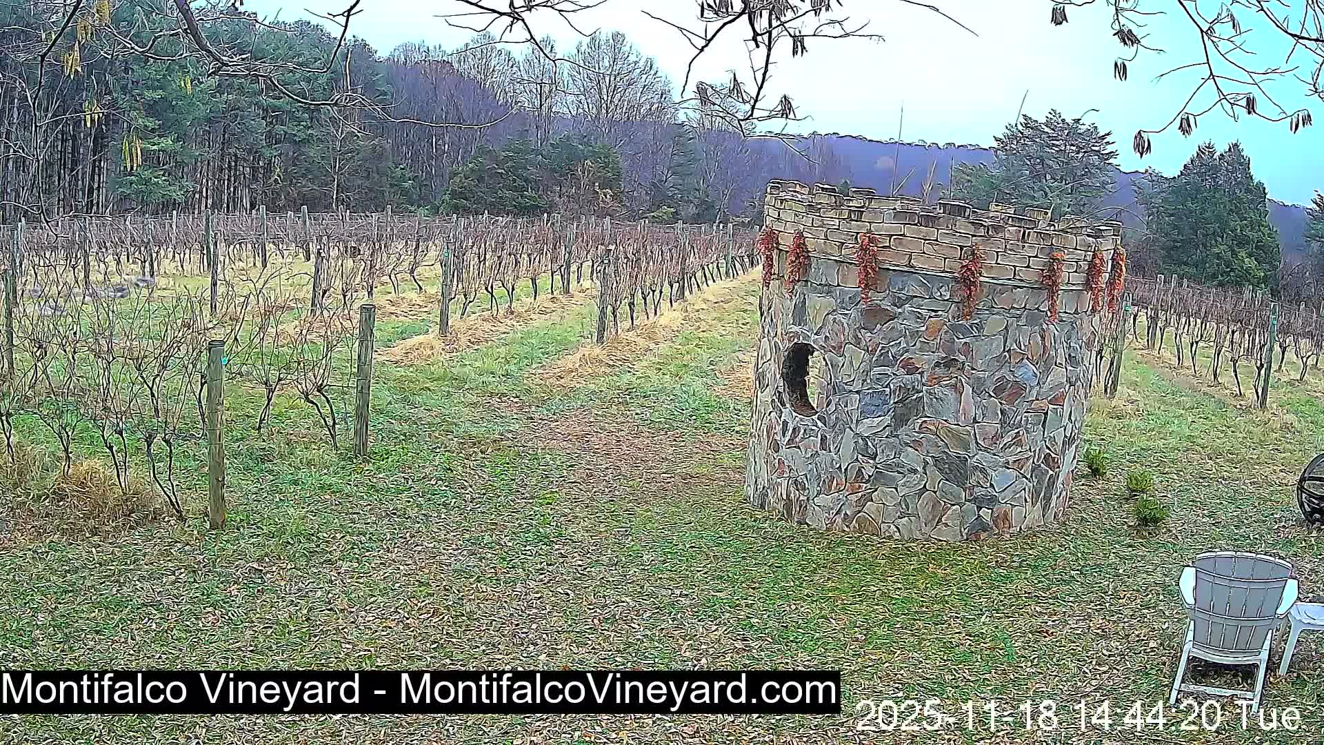 Virginia, Montifalco Vineyard Live Cam - Advance Mills, Albemarle, Virginia, USA