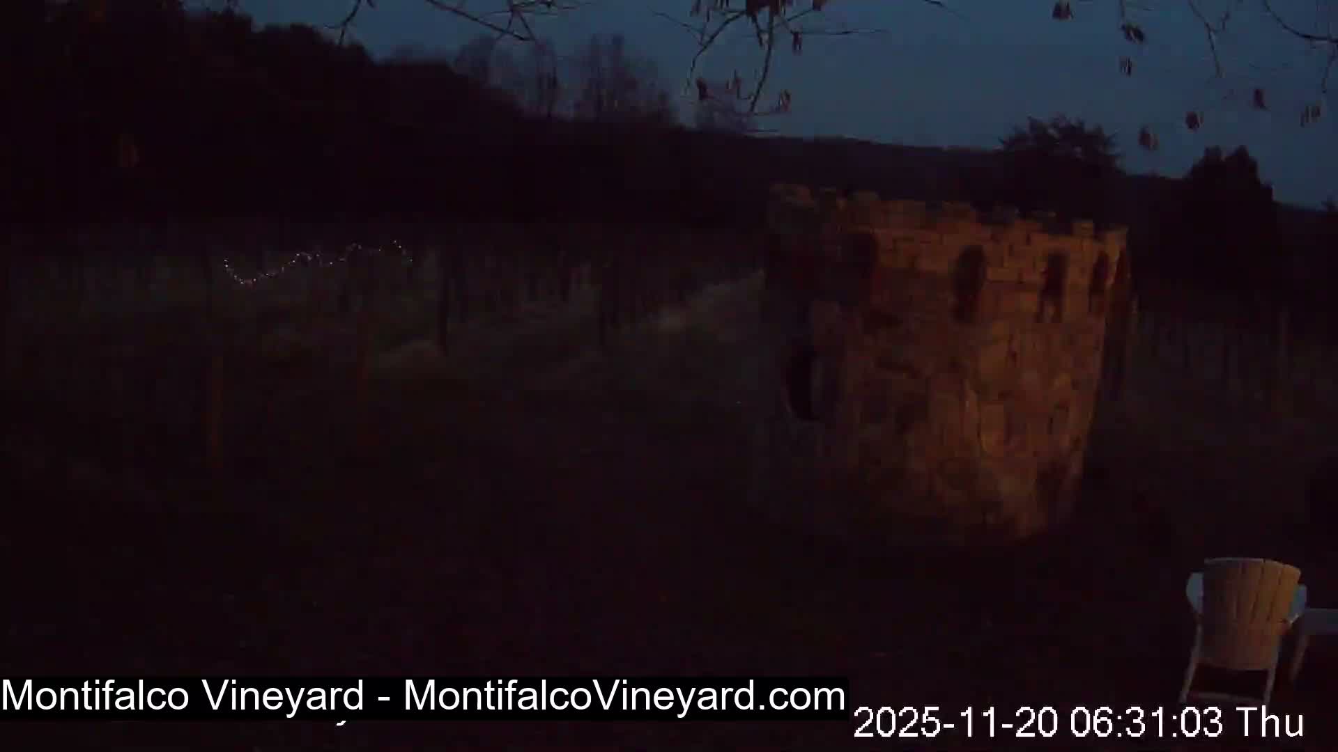 Virginia, Montifalco Vineyard Live Cam - Advance Mills, Albemarle, Virginia, USA