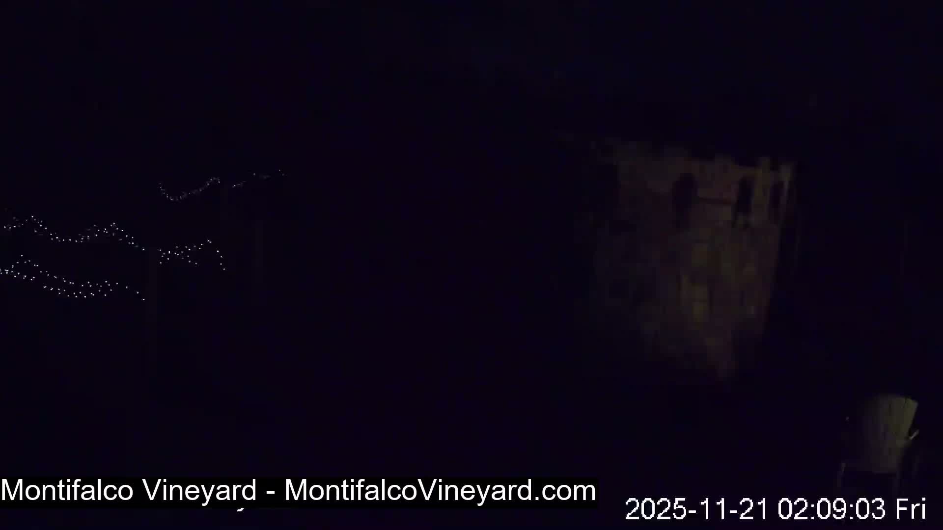 Virginia, Montifalco Vineyard Live Cam - Advance Mills, Albemarle, Virginia, USA