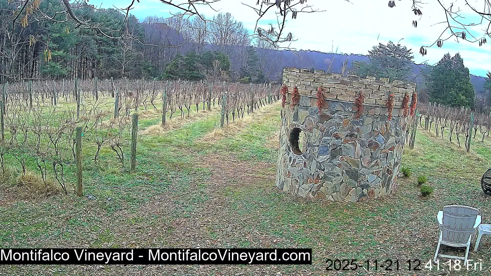 Virginia, Montifalco Vineyard Live Cam - Advance Mills, Albemarle, Virginia, USA