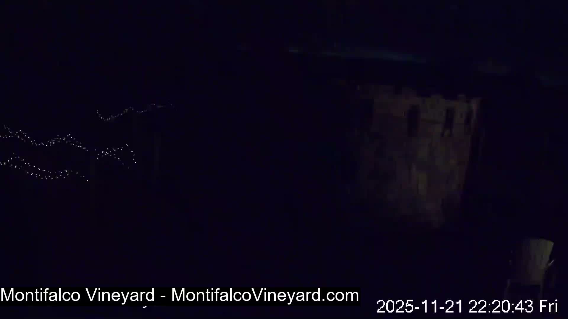 Virginia, Montifalco Vineyard Live Cam - Advance Mills, Albemarle, Virginia, USA