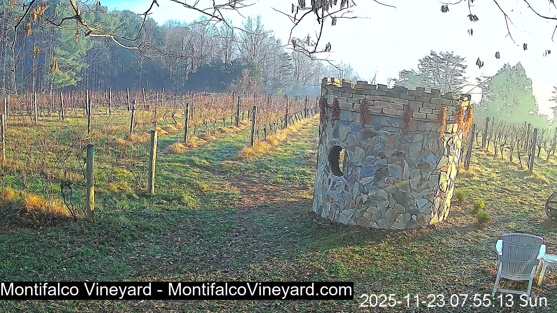 Virginia, Montifalco Vineyard Live Cam - Advance Mills, Albemarle, Virginia, USA
