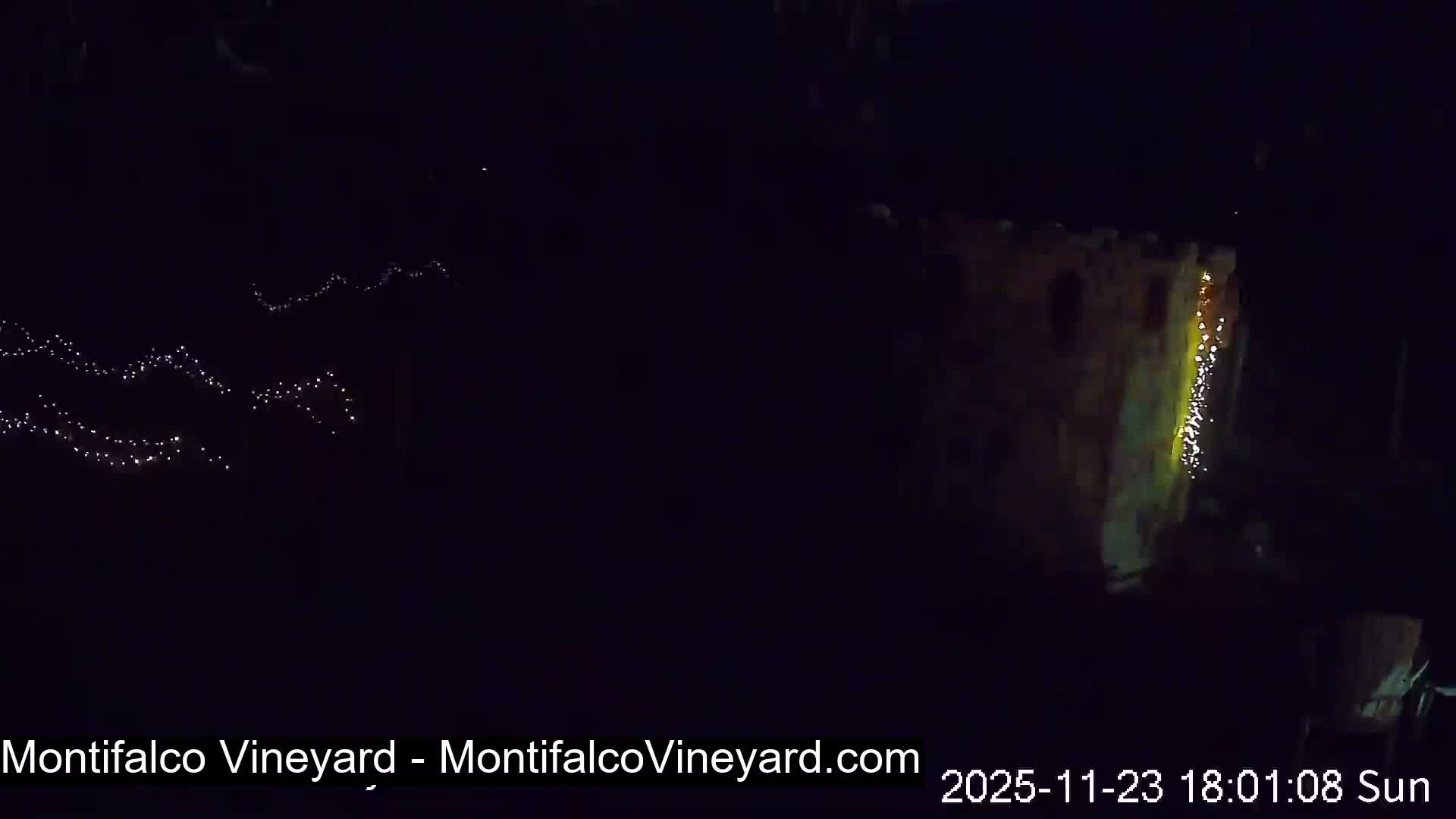 Virginia, Montifalco Vineyard Live Cam - Advance Mills, Albemarle, Virginia, USA