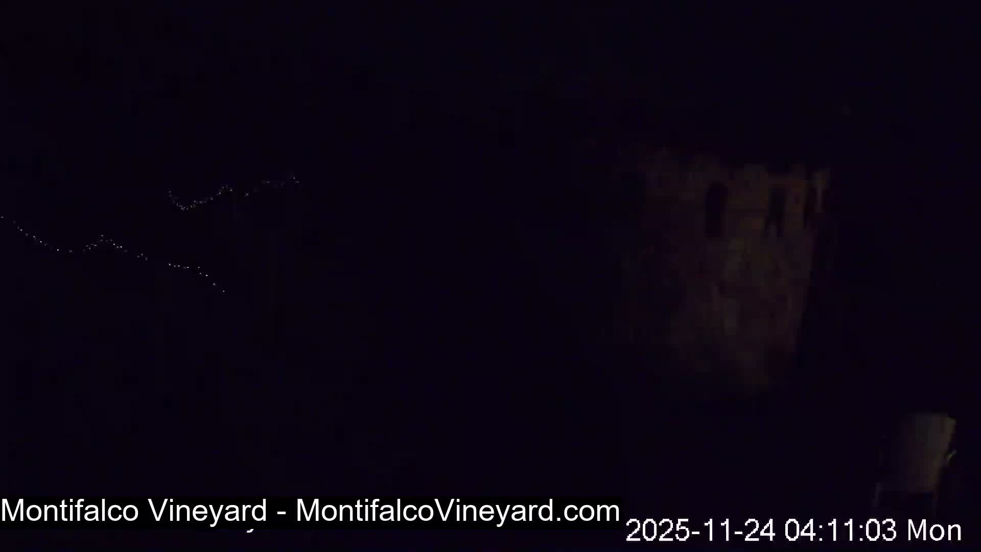 A very dark outdoor scene at night reveals subtle patterns of small, reflective dots, resembling frost or dew on wires or vines, in the foreground, and the shadowy outline of a building to the right, under clear conditions.