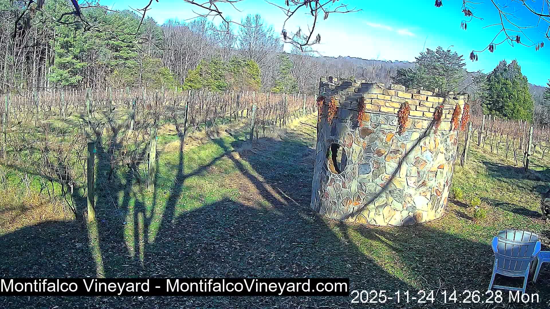 Virginia, Montifalco Vineyard Live Cam - Advance Mills, Albemarle, Virginia, USA