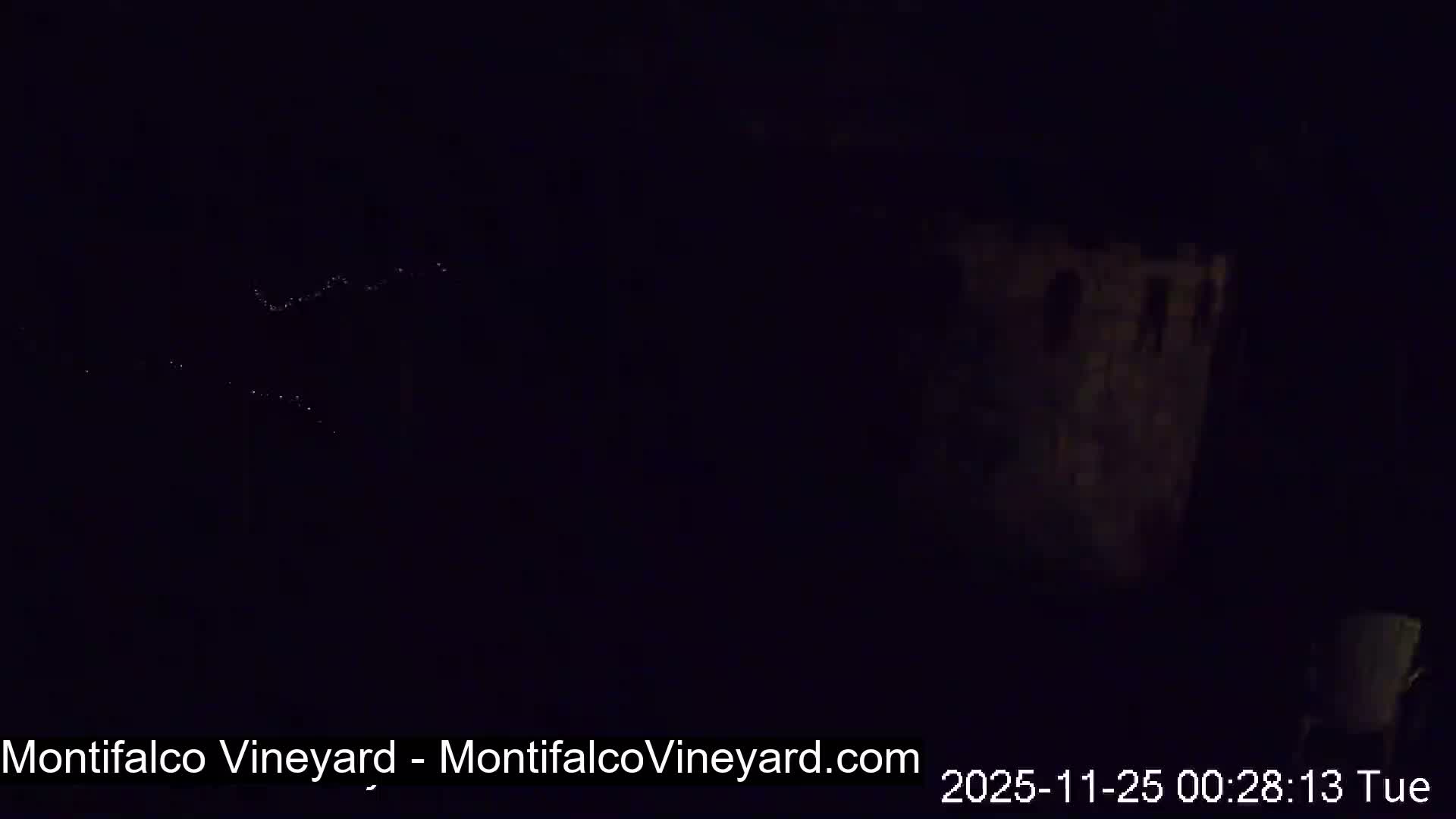 Virginia, Montifalco Vineyard Live Cam - Advance Mills, Albemarle, Virginia, USA