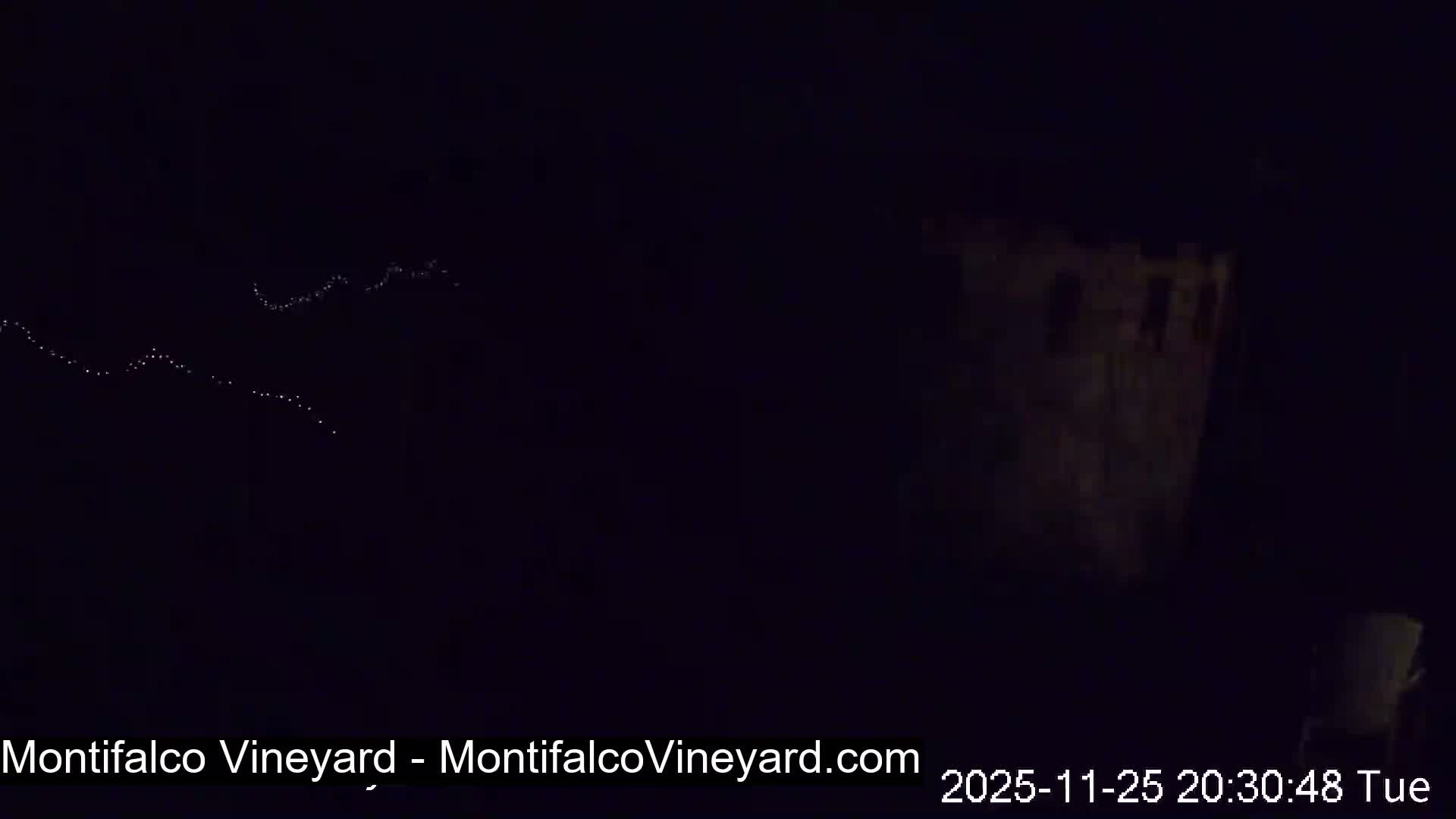 Virginia, Montifalco Vineyard Live Cam - Advance Mills, Albemarle, Virginia, USA