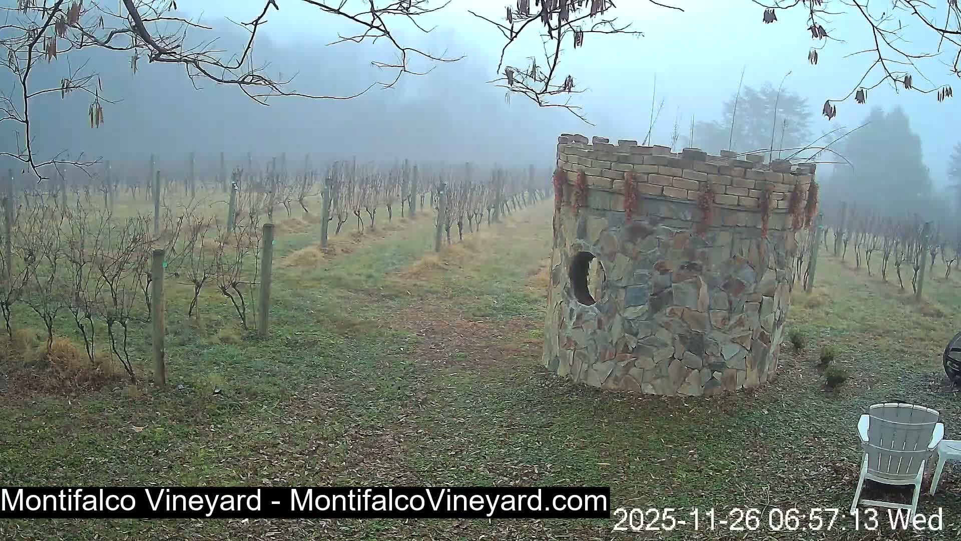 Virginia, Montifalco Vineyard Live Cam - Advance Mills, Albemarle, Virginia, USA