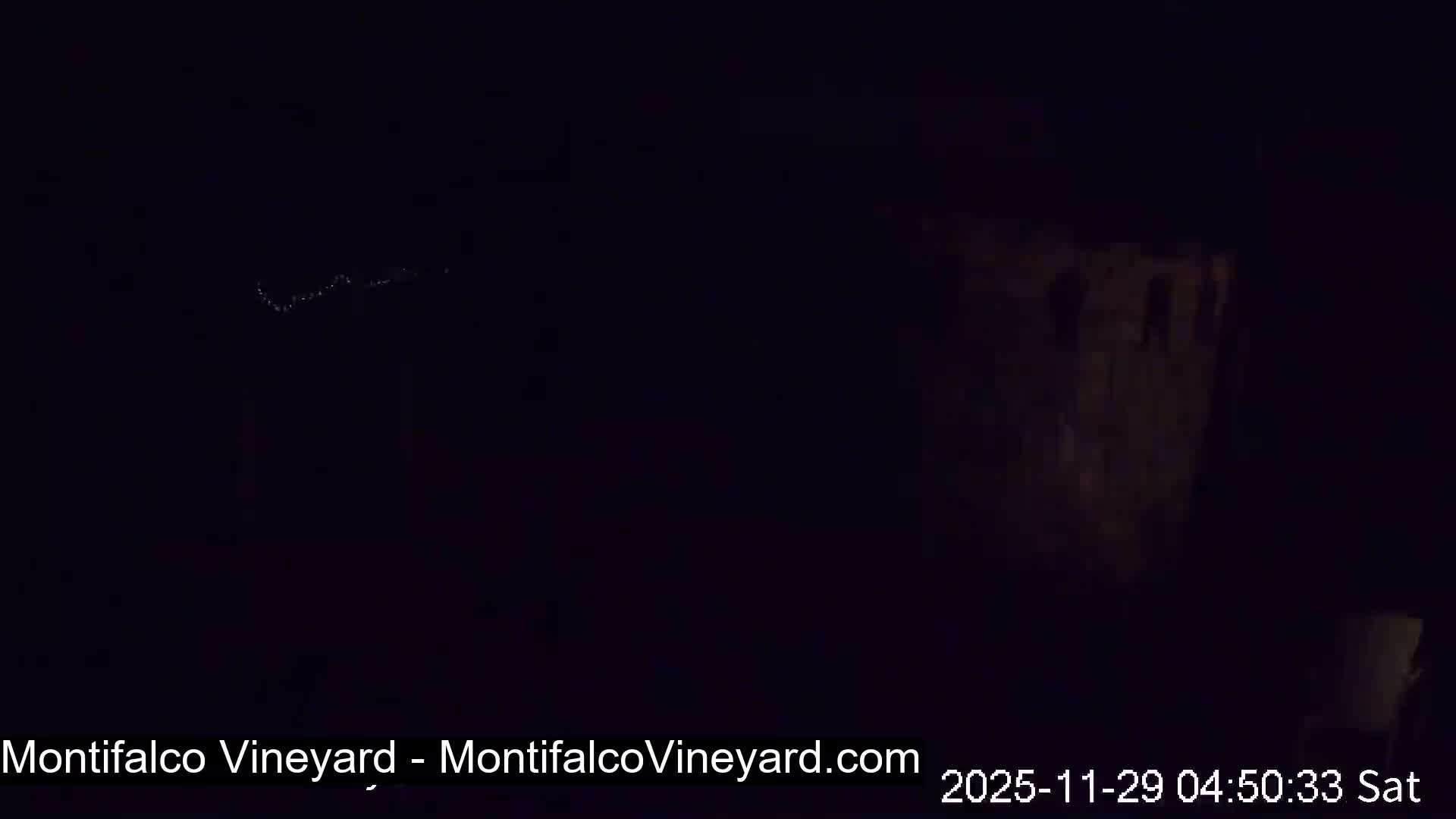Virginia, Montifalco Vineyard Live Cam - Advance Mills, Albemarle, Virginia, USA