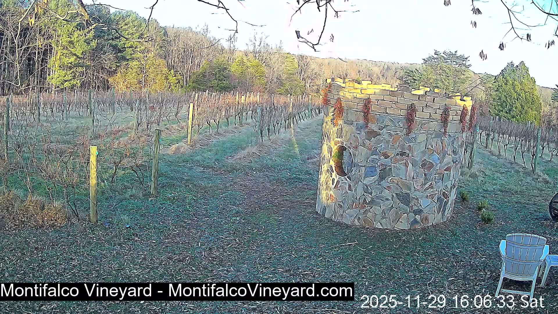 Virginia, Montifalco Vineyard Live Cam - Advance Mills, Albemarle, Virginia, USA