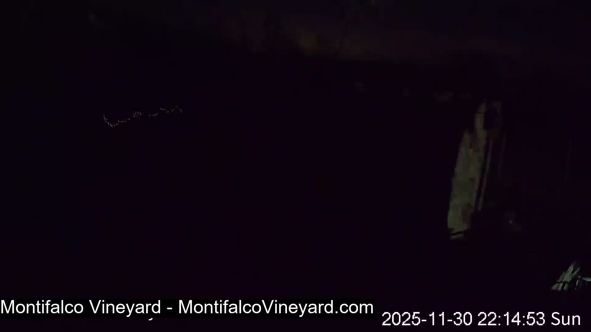 Virginia, Montifalco Vineyard Live Cam - Advance Mills, Albemarle, Virginia, USA