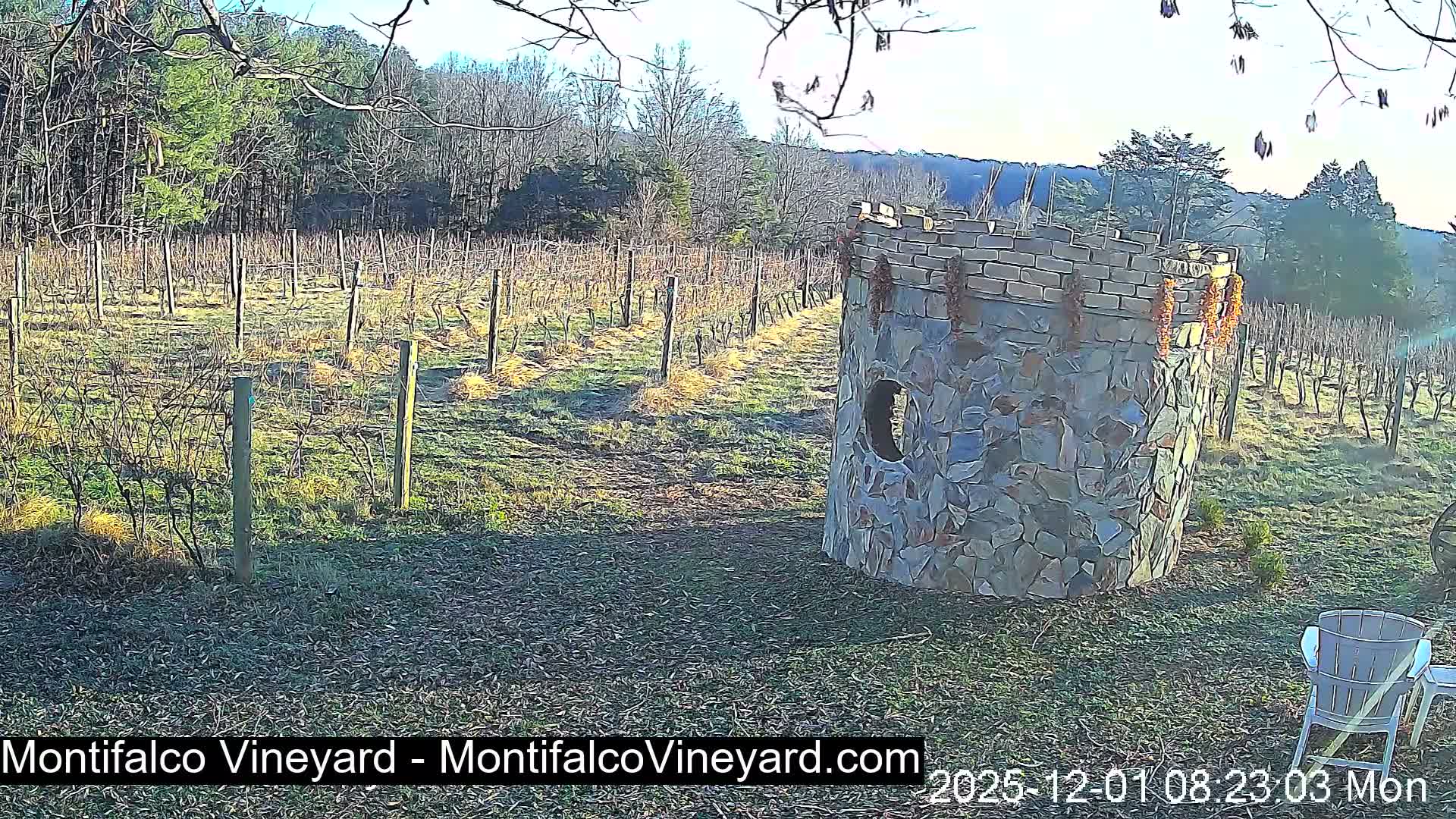 Virginia, Montifalco Vineyard Live Cam - Advance Mills, Albemarle, Virginia, USA
