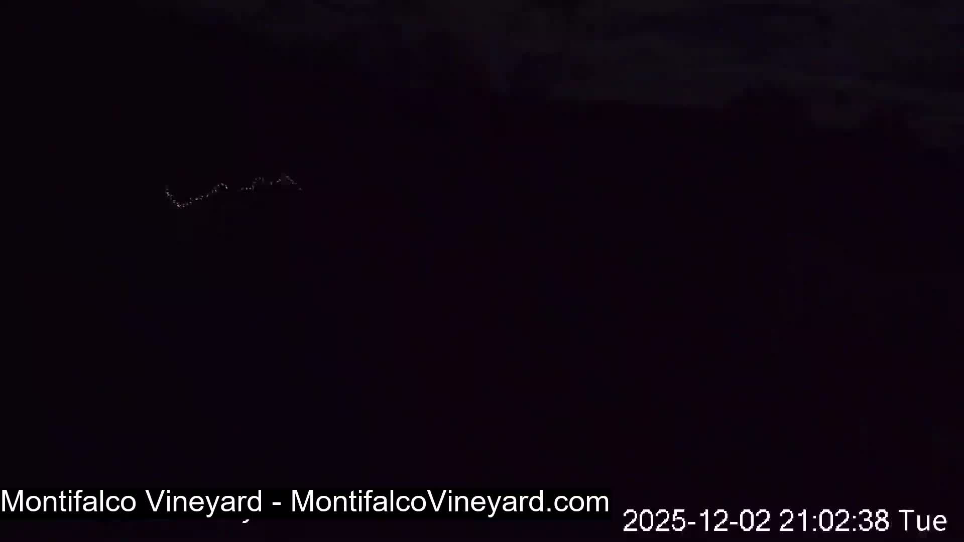 Virginia, Montifalco Vineyard Live Cam - Advance Mills, Albemarle, Virginia, USA