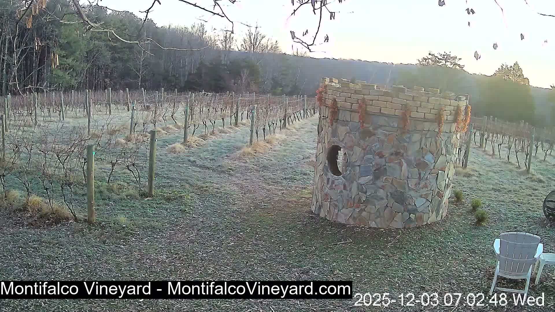 Virginia, Montifalco Vineyard Live Cam - Advance Mills, Albemarle, Virginia, USA