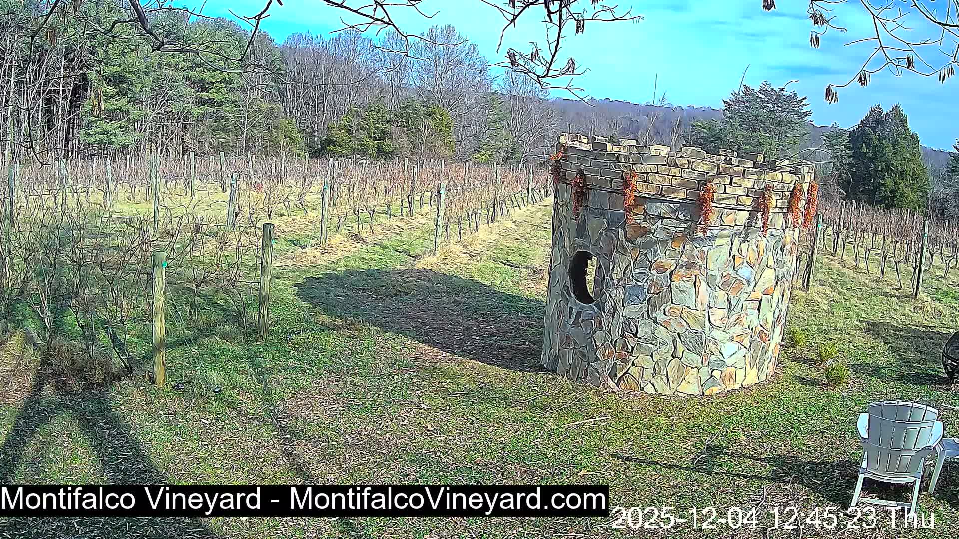 Virginia, Montifalco Vineyard Live Cam - Advance Mills, Albemarle, Virginia, USA