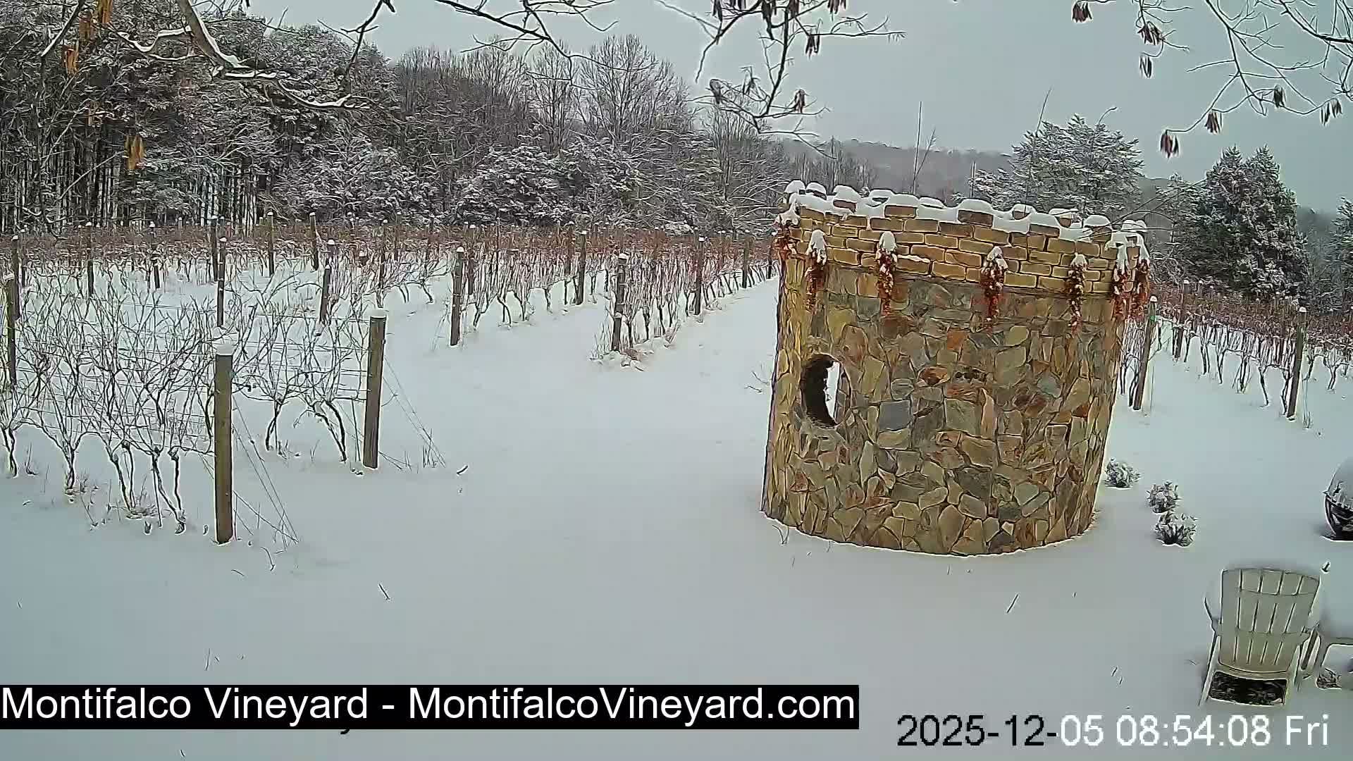 Virginia, Montifalco Vineyard Live Cam - Advance Mills, Albemarle, Virginia, USA