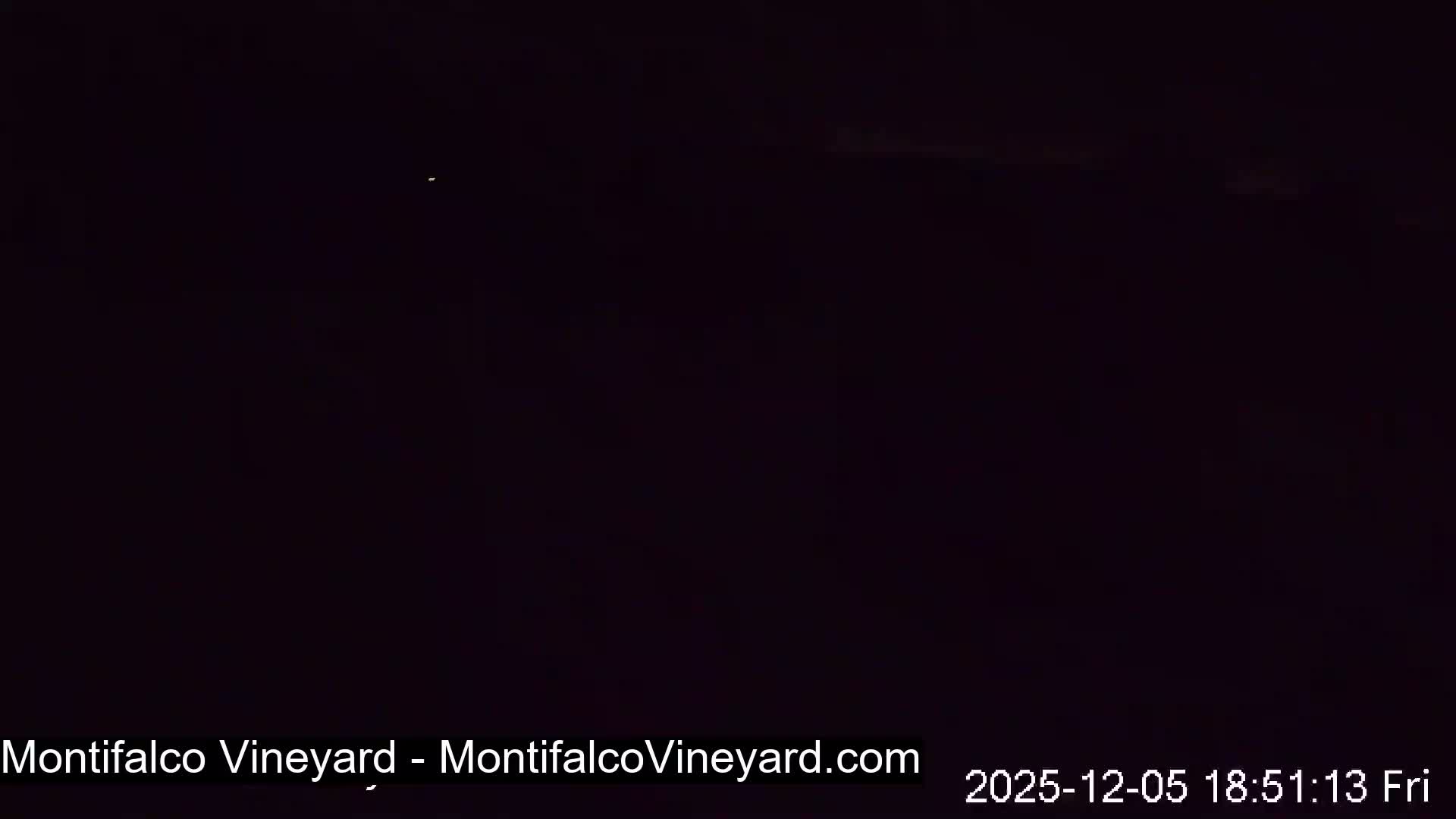 Virginia, Montifalco Vineyard Live Cam - Advance Mills, Albemarle, Virginia, USA