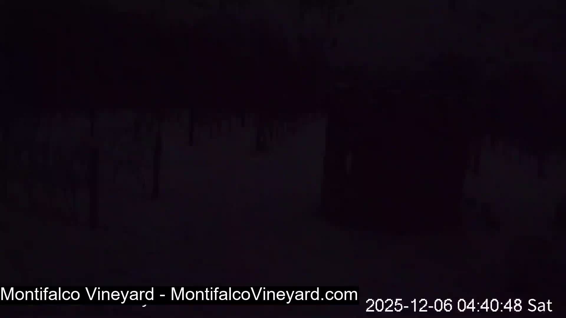 The image depicts an extremely dark outdoor scene during a clear night, where only faint, indistinct vertical shapes are barely discernible in the pervasive gloom.