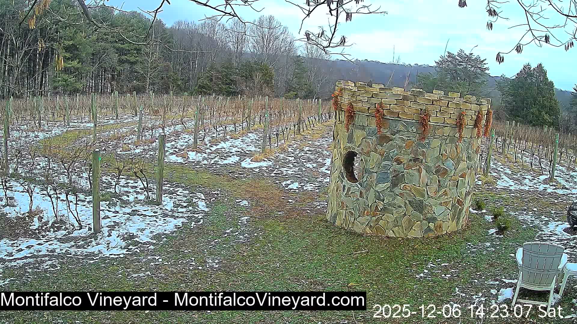 Virginia, Montifalco Vineyard Live Cam - Advance Mills, Albemarle, Virginia, USA
