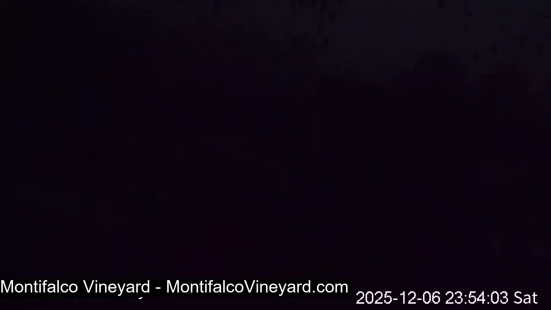 Virginia, Montifalco Vineyard Live Cam - Advance Mills, Albemarle, Virginia, USA