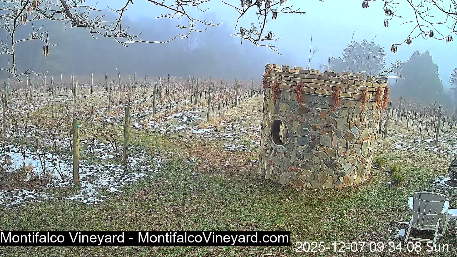 Virginia, Montifalco Vineyard Live Cam - Advance Mills, Albemarle, Virginia, USA