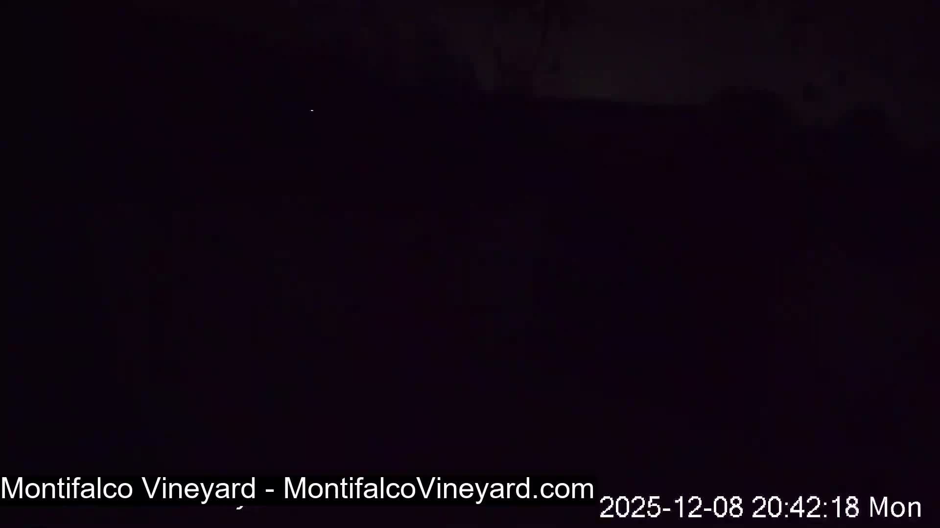 Virginia, Montifalco Vineyard Live Cam - Advance Mills, Albemarle, Virginia, USA