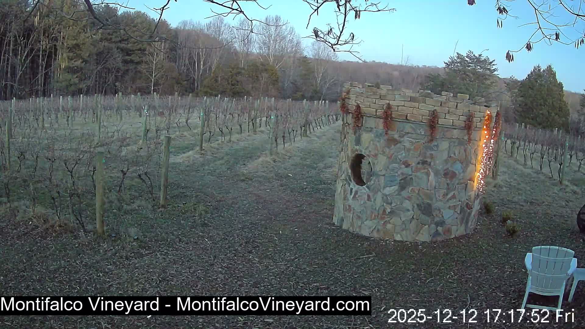 Virginia, Montifalco Vineyard Live Cam - Advance Mills, Albemarle, Virginia, USA