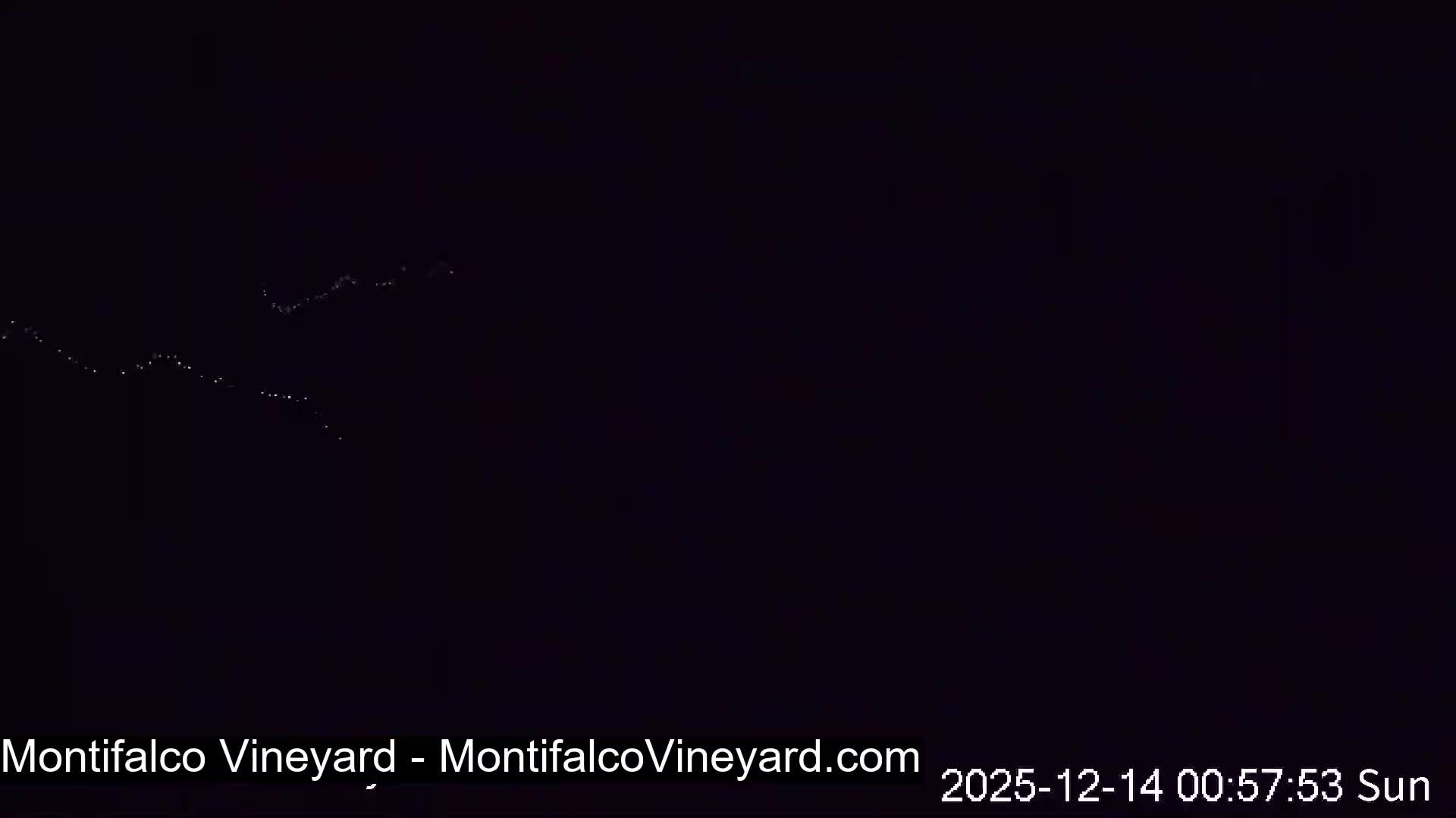 Virginia, Montifalco Vineyard Live Cam - Advance Mills, Albemarle, Virginia, USA