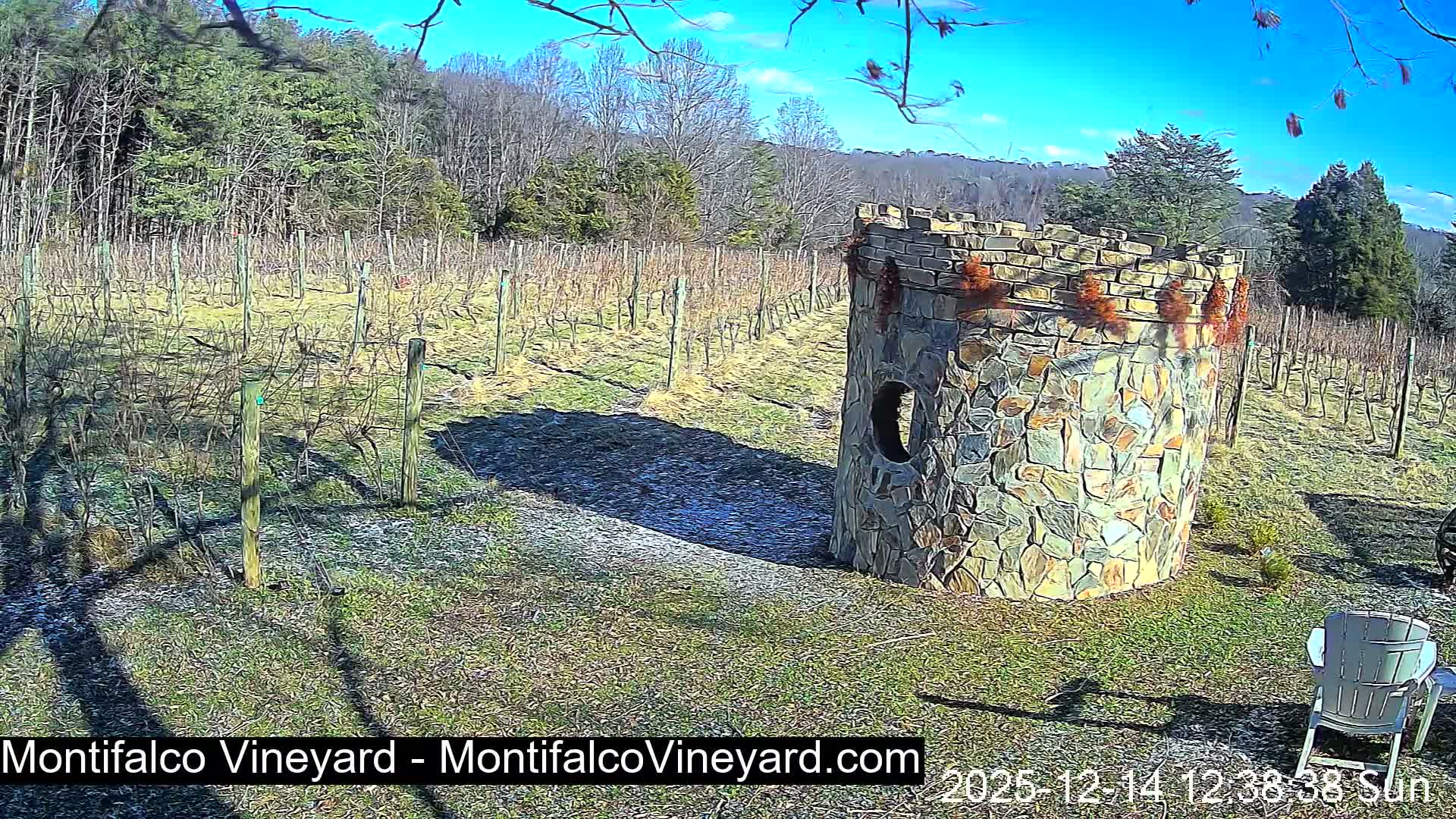 The image depicts an extremely dark outdoor scene during a clear night, where only faint, indistinct vertical shapes are barely discernible in the pervasive gloom.