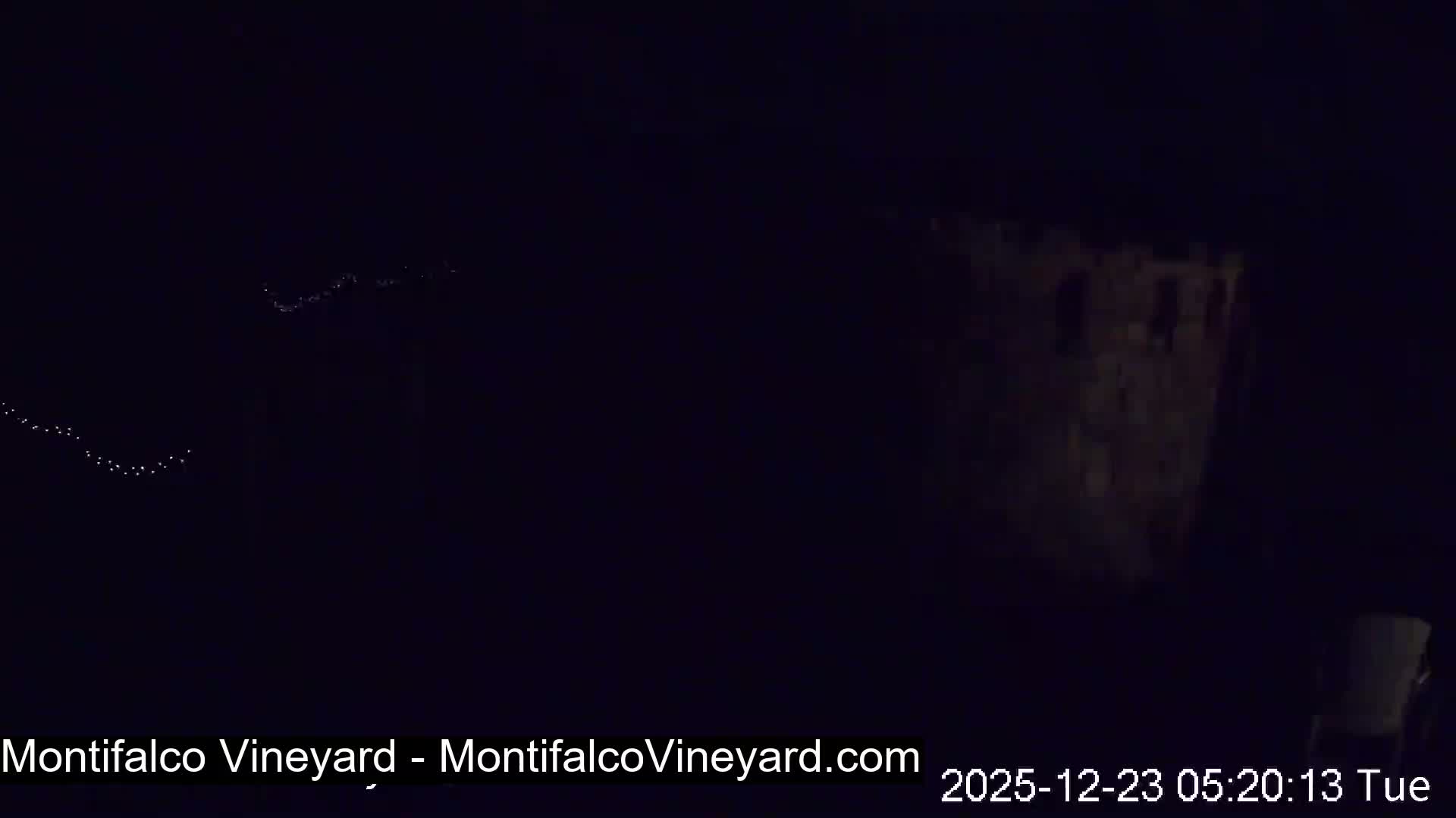 Virginia, Montifalco Vineyard Live Cam - Advance Mills, Albemarle, Virginia, USA